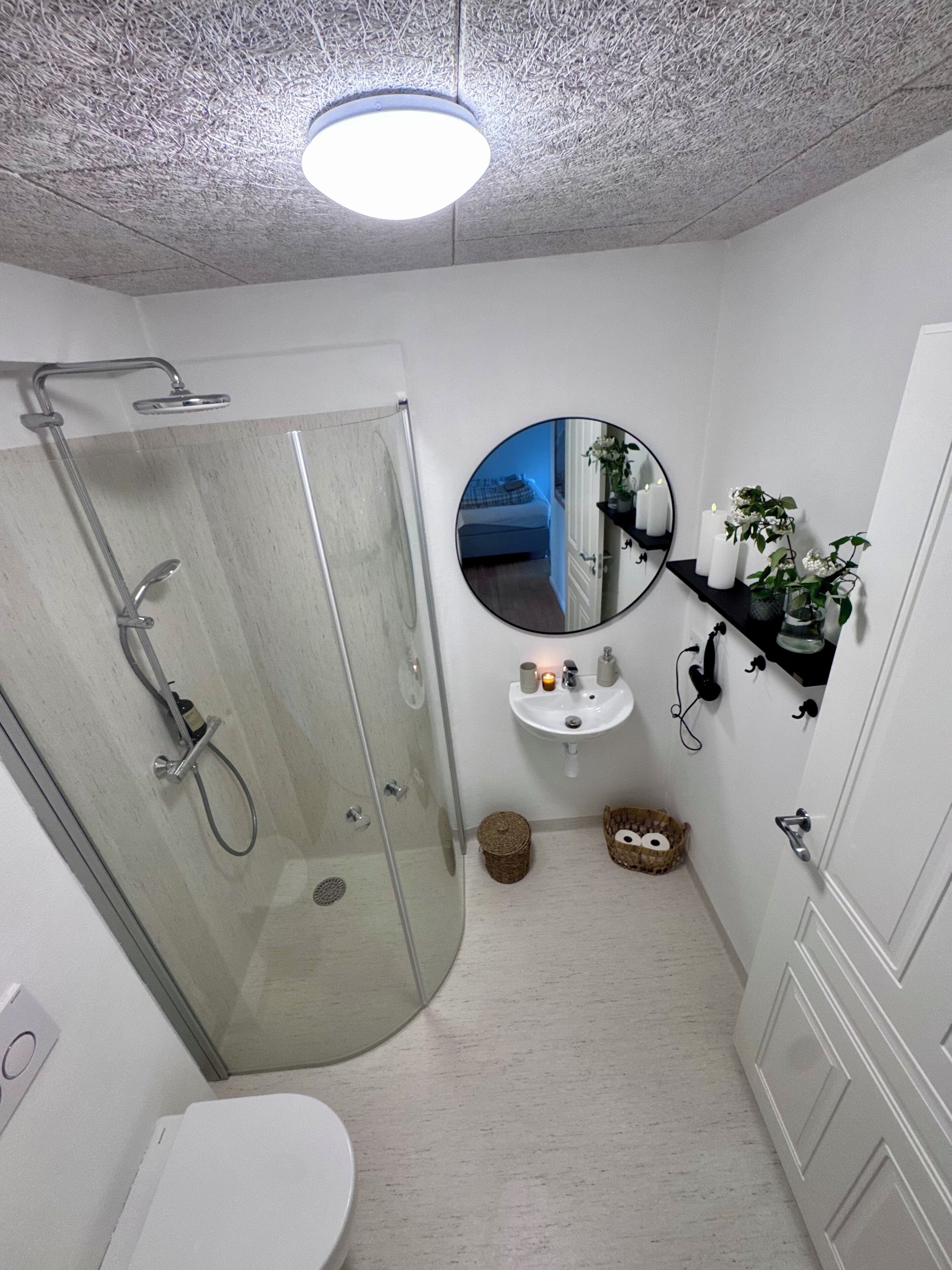 Une salle de bain avec une douche à parois de verre, un lavabo blanc, un miroir et une petite étagère avec des plantes.