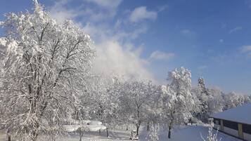 A snow-covered landscape with trees and a building.