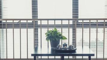 A balcony with a potted plant and a tray of tea cups.