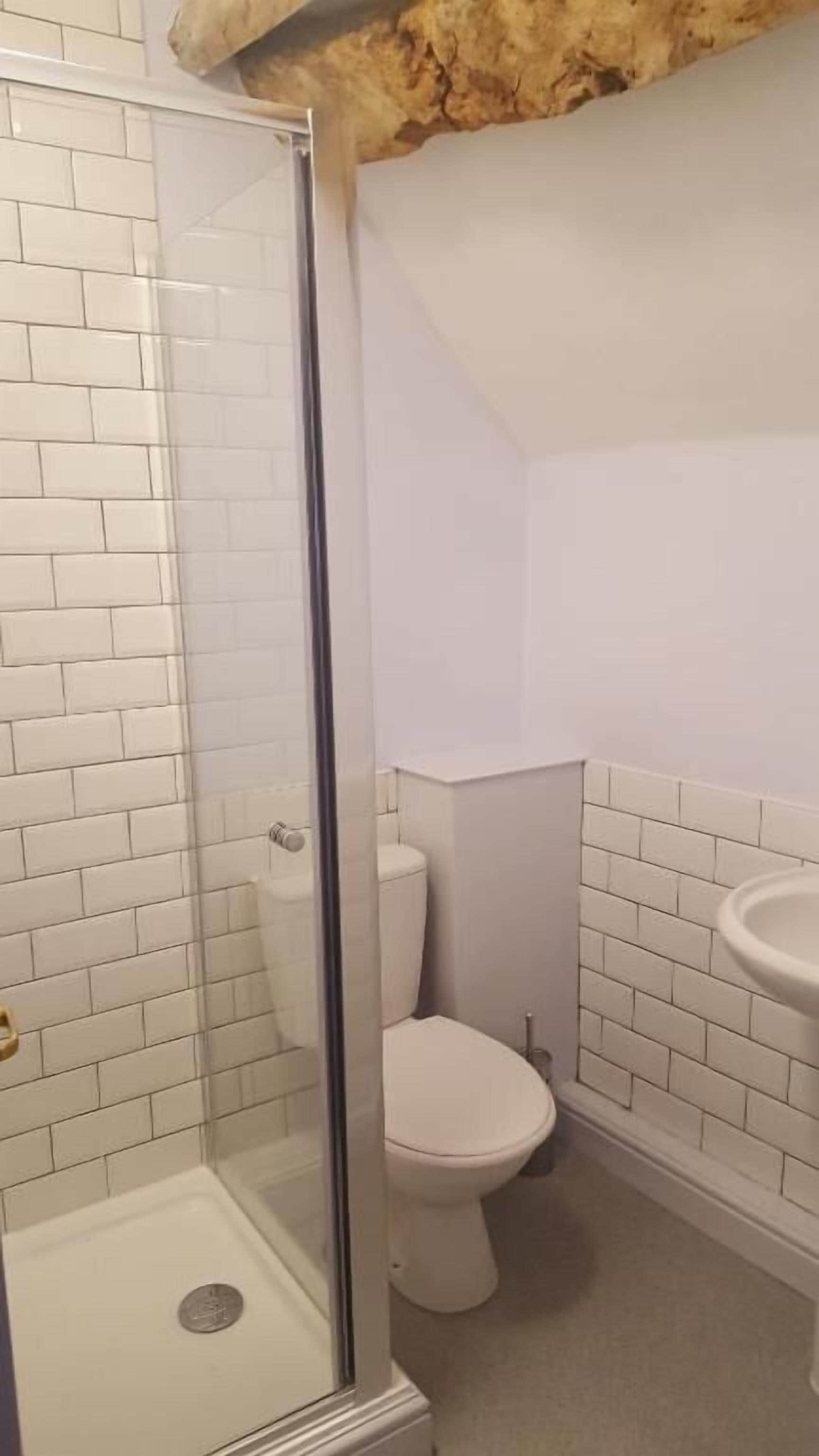 Shower, free toiletries, hair dryer, towels