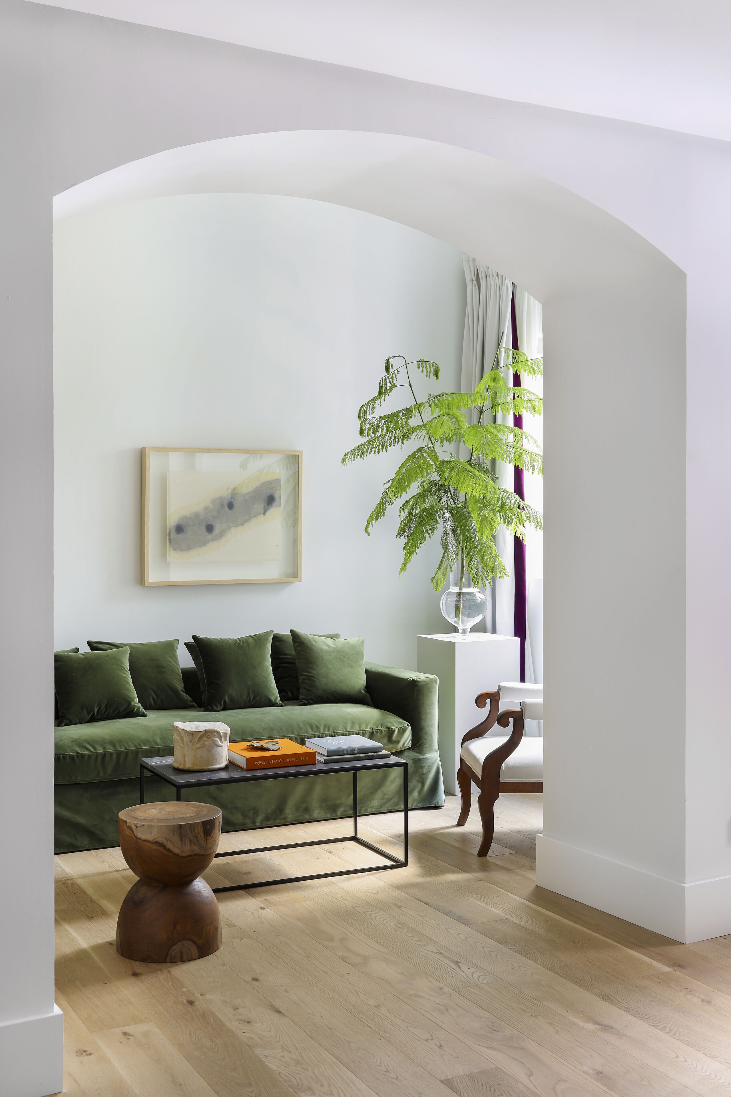 A modern living room with a green sofa, a wooden coffee table, and a large green plant.