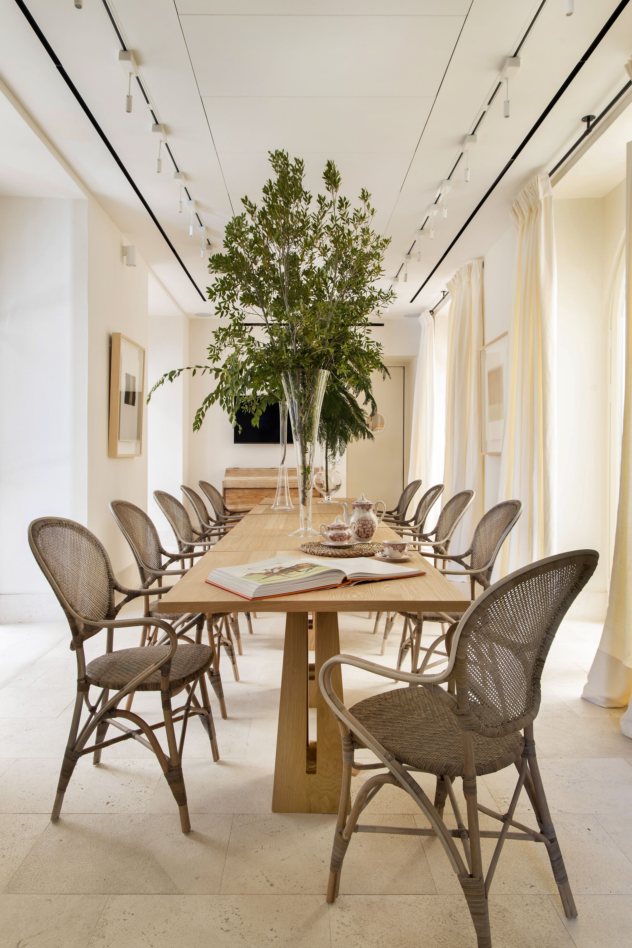 A conference room with a long table, wicker chairs, a large plant, and a television screen on the wall.