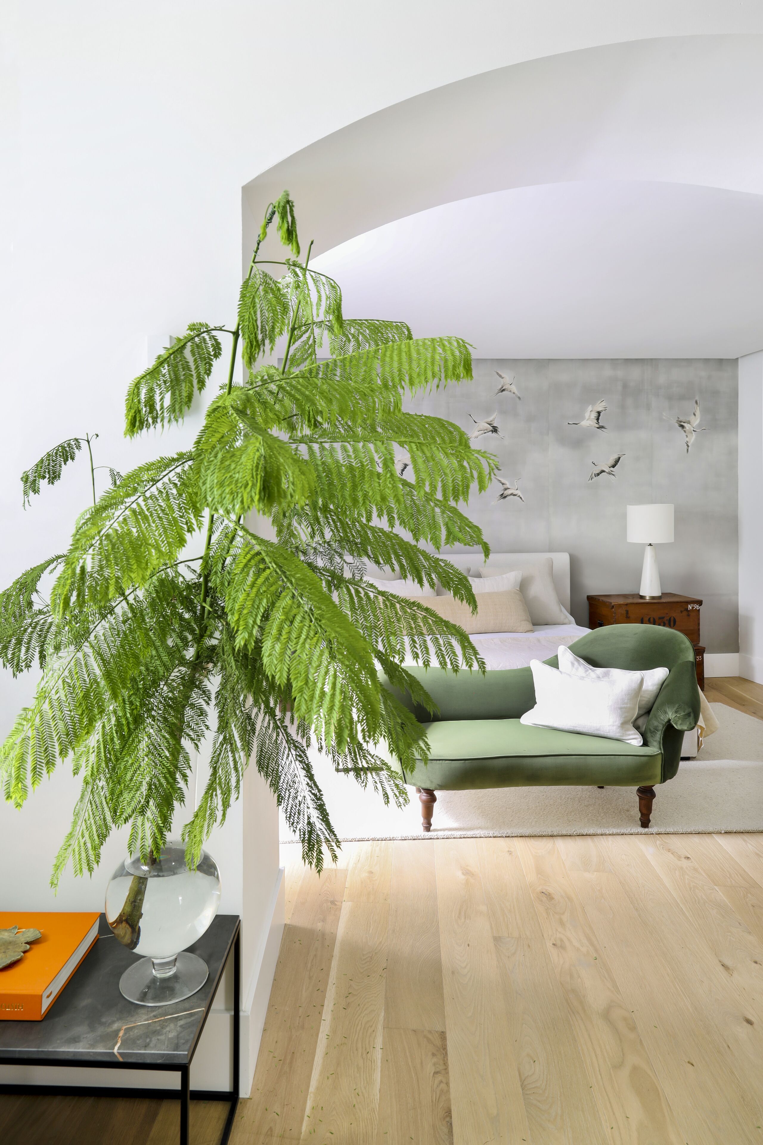 A modern living room with a green sofa, a large fern plant, and a wooden floor.