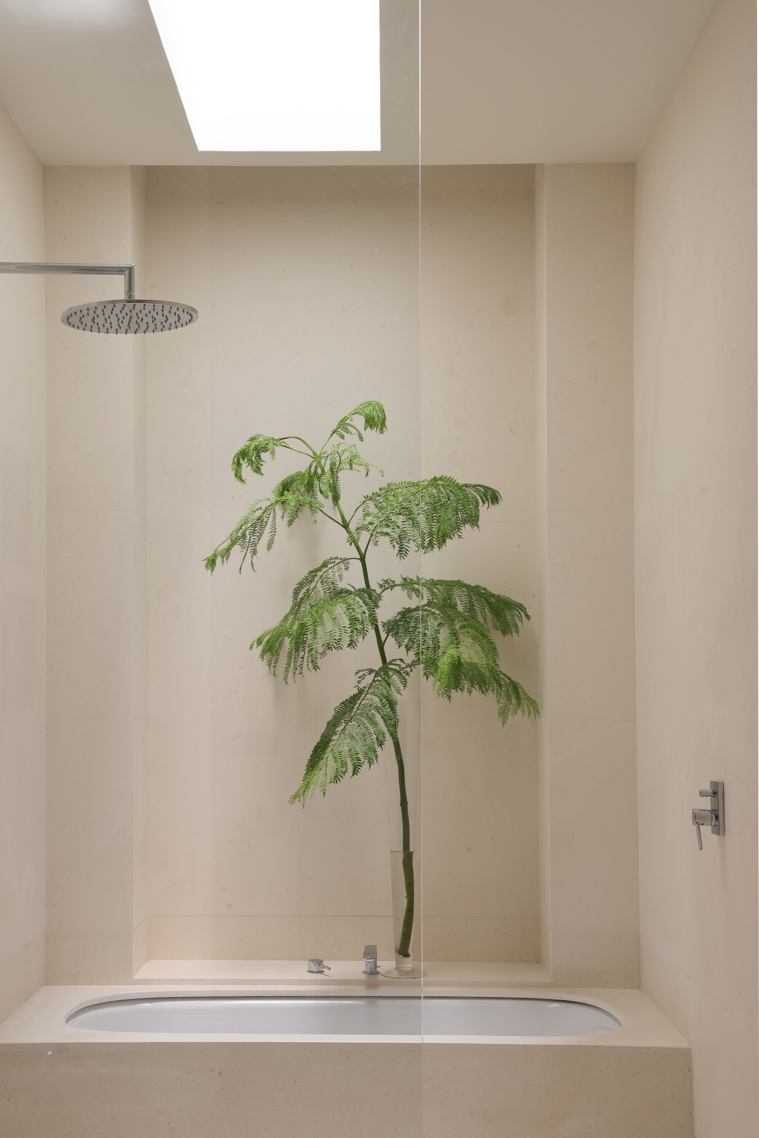 Un baño moderno con ducha separada, bañera y helecho en maceta.