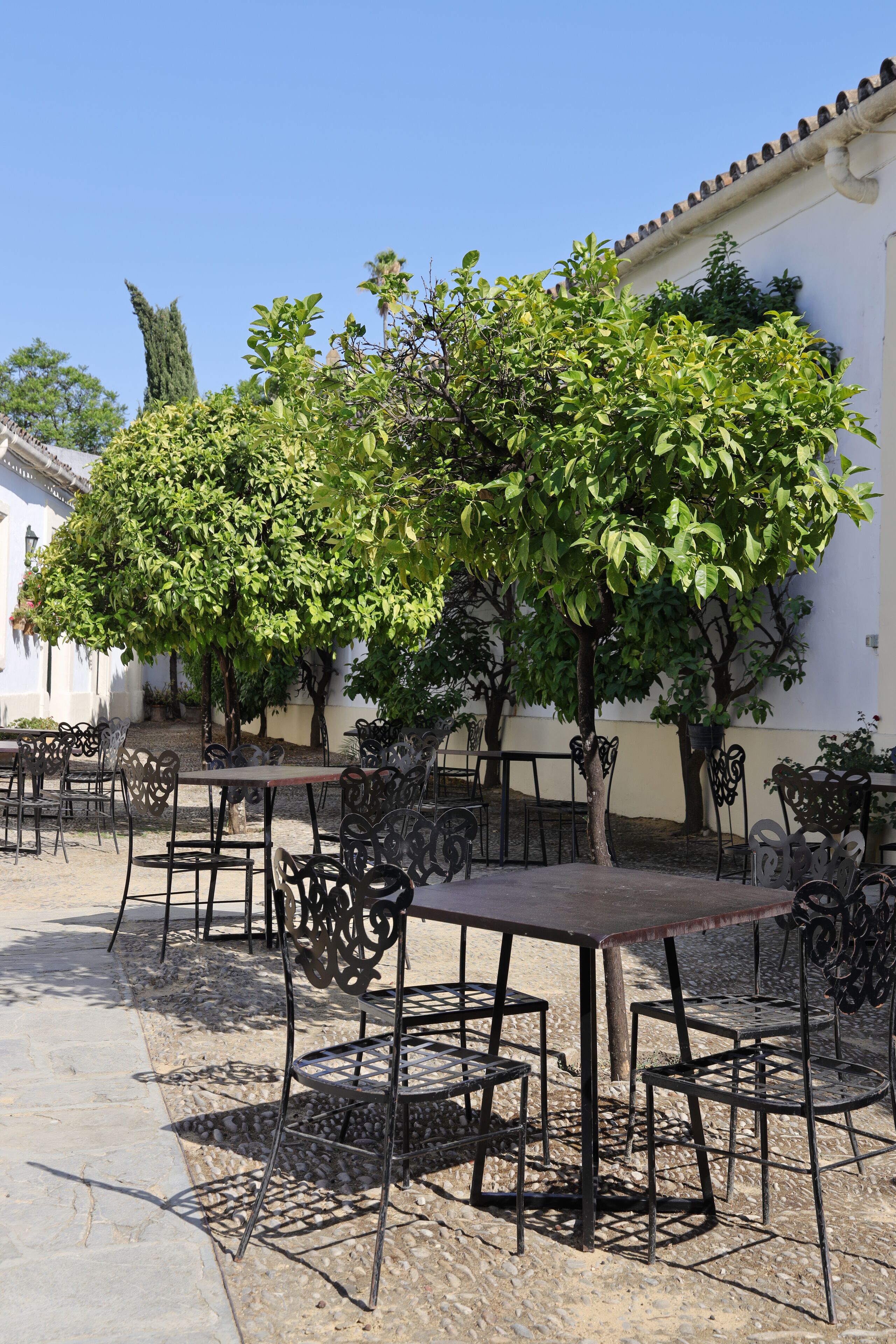 An outdoor patio with tables and chairs, surrounded by trees and a building with a tiled roof.