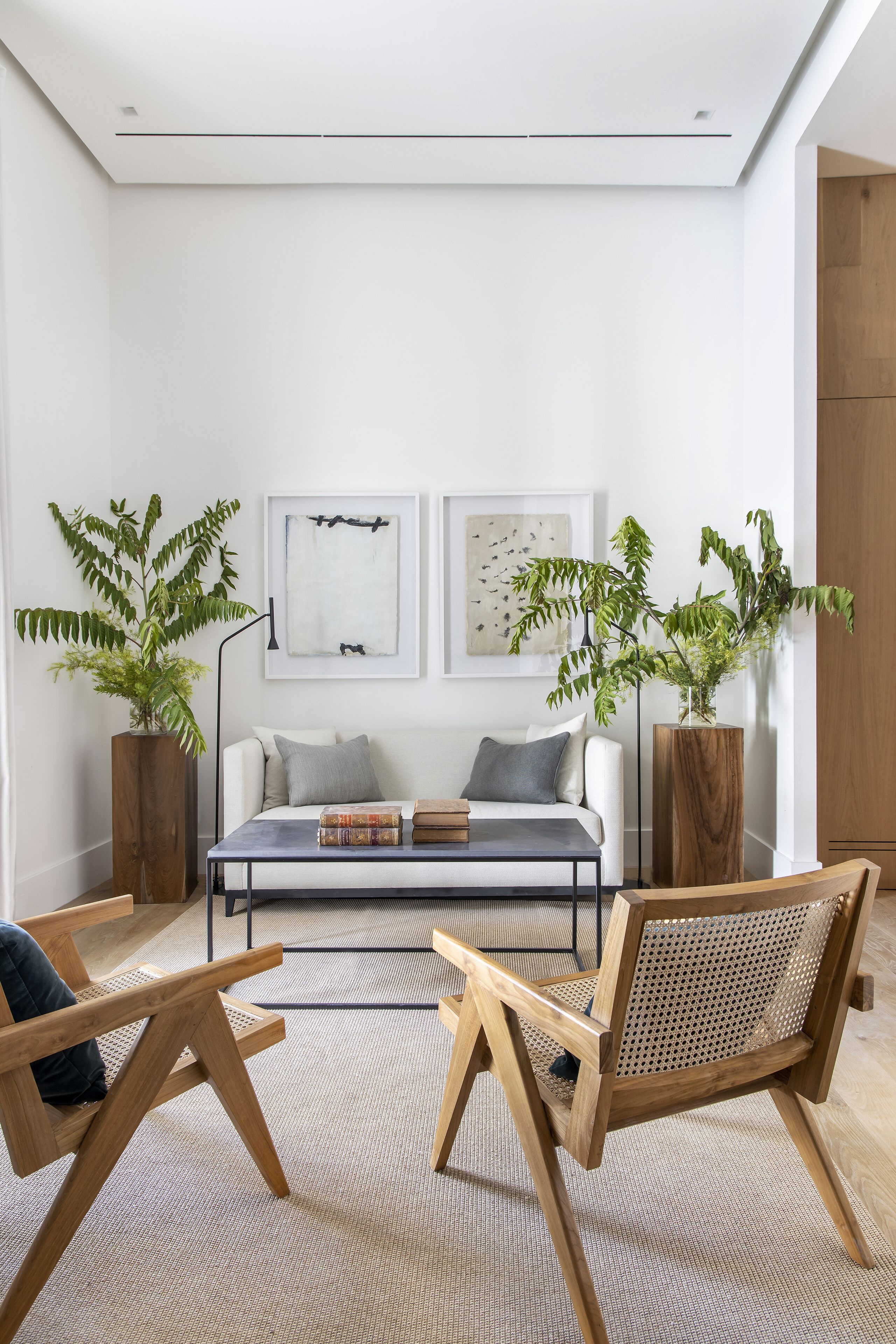 A modern living room with a sofa, two wooden chairs, a coffee table, and two large potted plants. There are two abstract paintings on the wall above the sofa.
