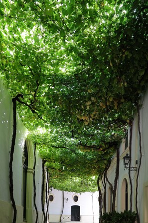 Exterior - Hotel Bodega Tío Pepe (Jerez de la Frontera)