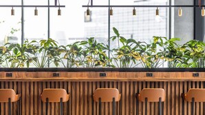A bar area with wooden paneling, four bar stools, and a row of potted plants. - Comfort Hotel Copenhagen Airport (Kastrup)