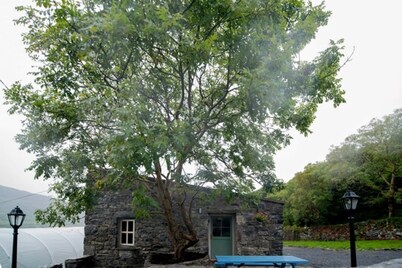 Cozy Irish cottage, located on the Wild Atlantic Way!