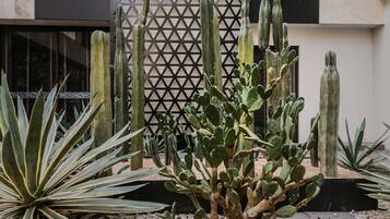 Ein Kakteengarten mit verschiedenen Kakteen und Agaven, vor einem modernen Gebäude mit geometrischer Fassade.