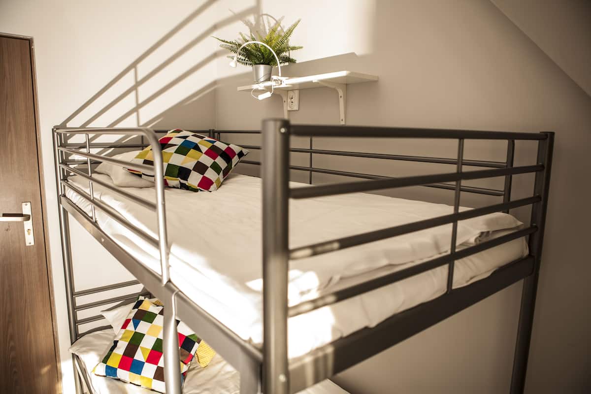 A bunk bed with a small shelf above it holding a plant.