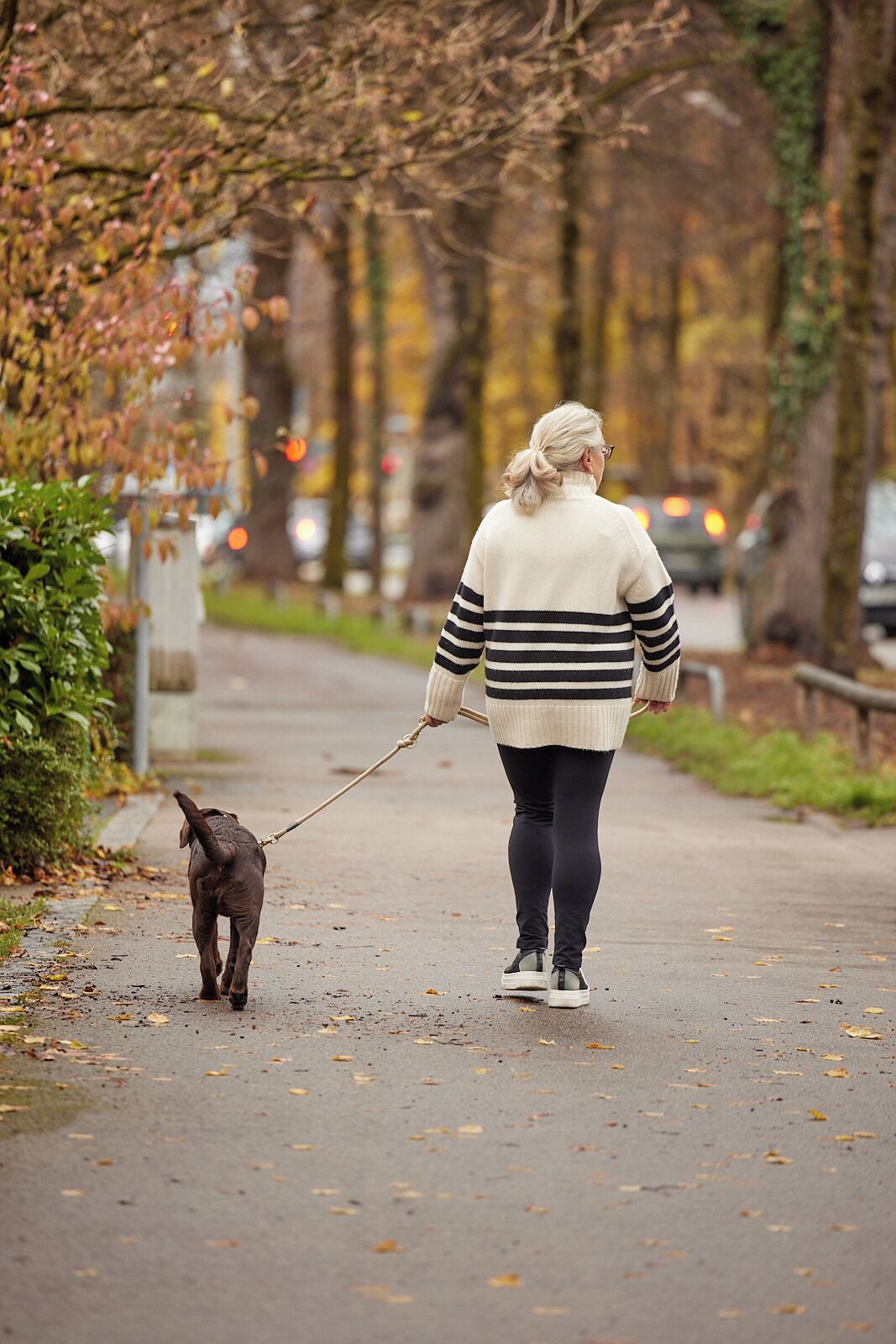 Photo - Hotel Freisinger Hof