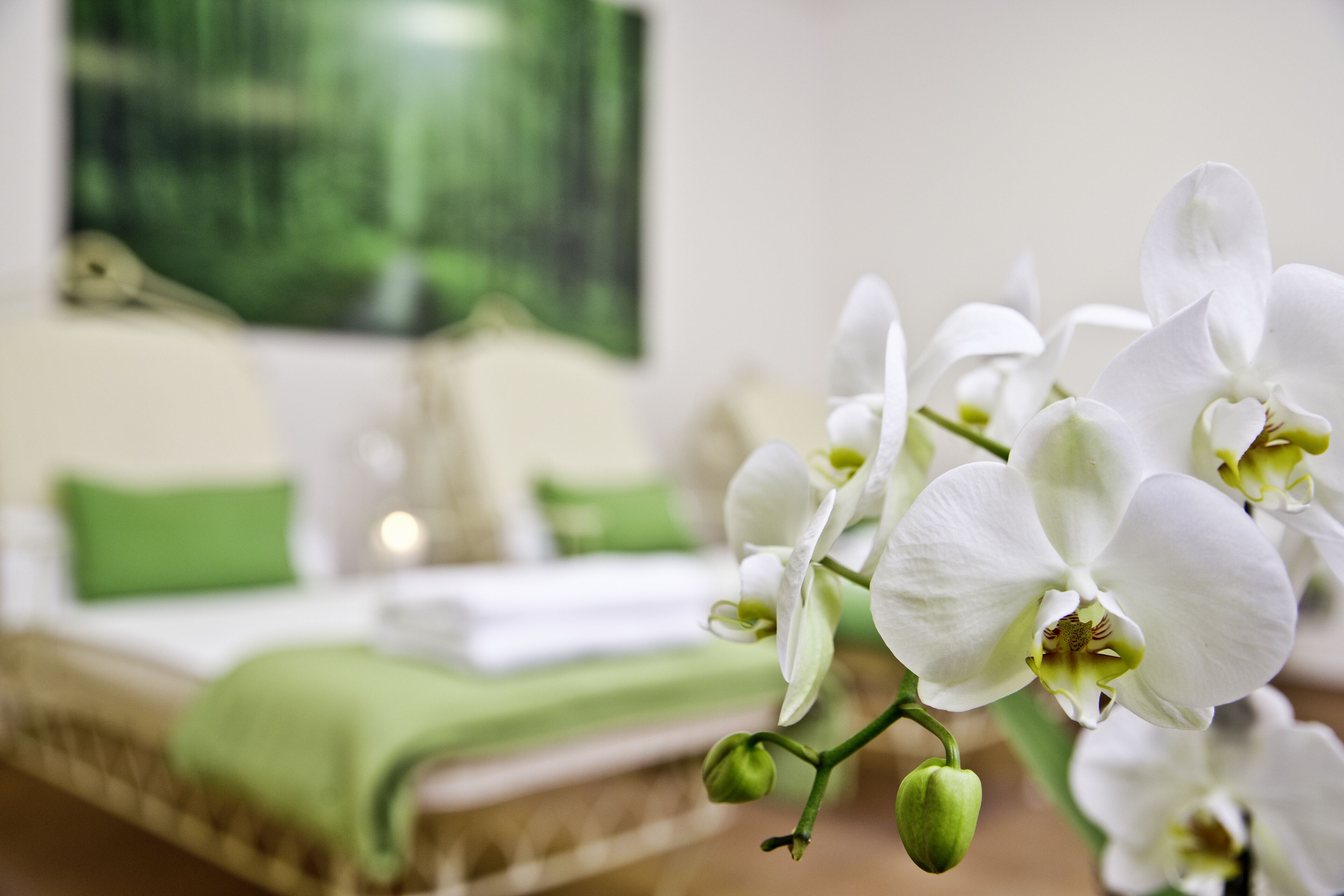 Photo - Hotel Freisinger Hof