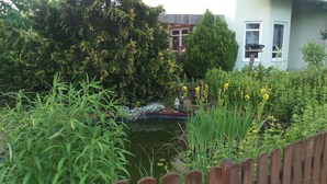 Un jardín con un estanque, diversas plantas y una cerca de madera.