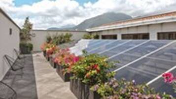 A rooftop with solar panels and flower beds.