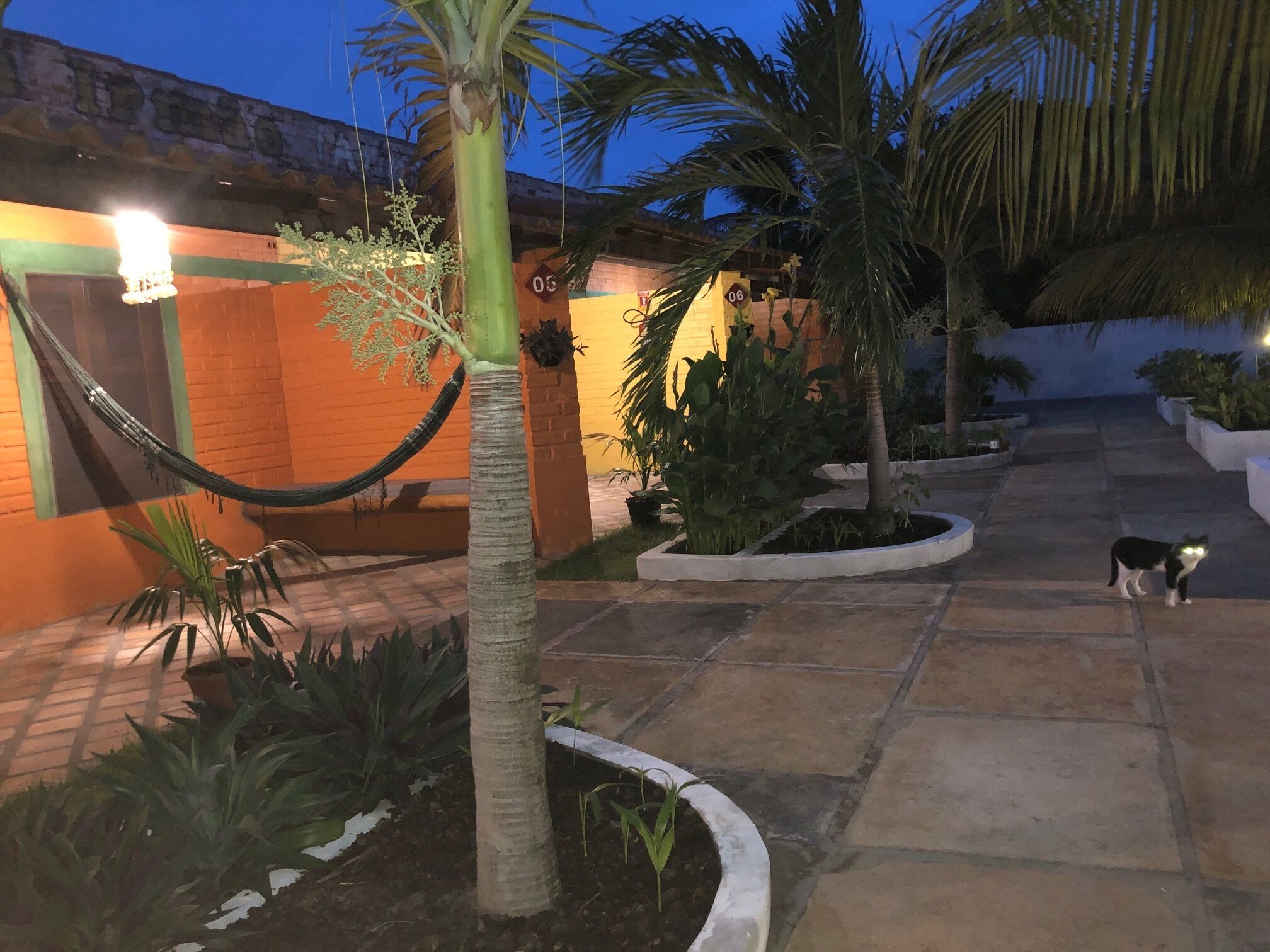 Chambre Triple Standard | Terrasse/Patio