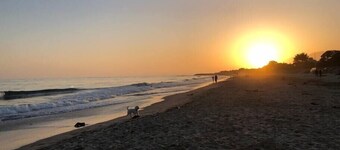 Apt 17: Beautiful studio steps to the sand