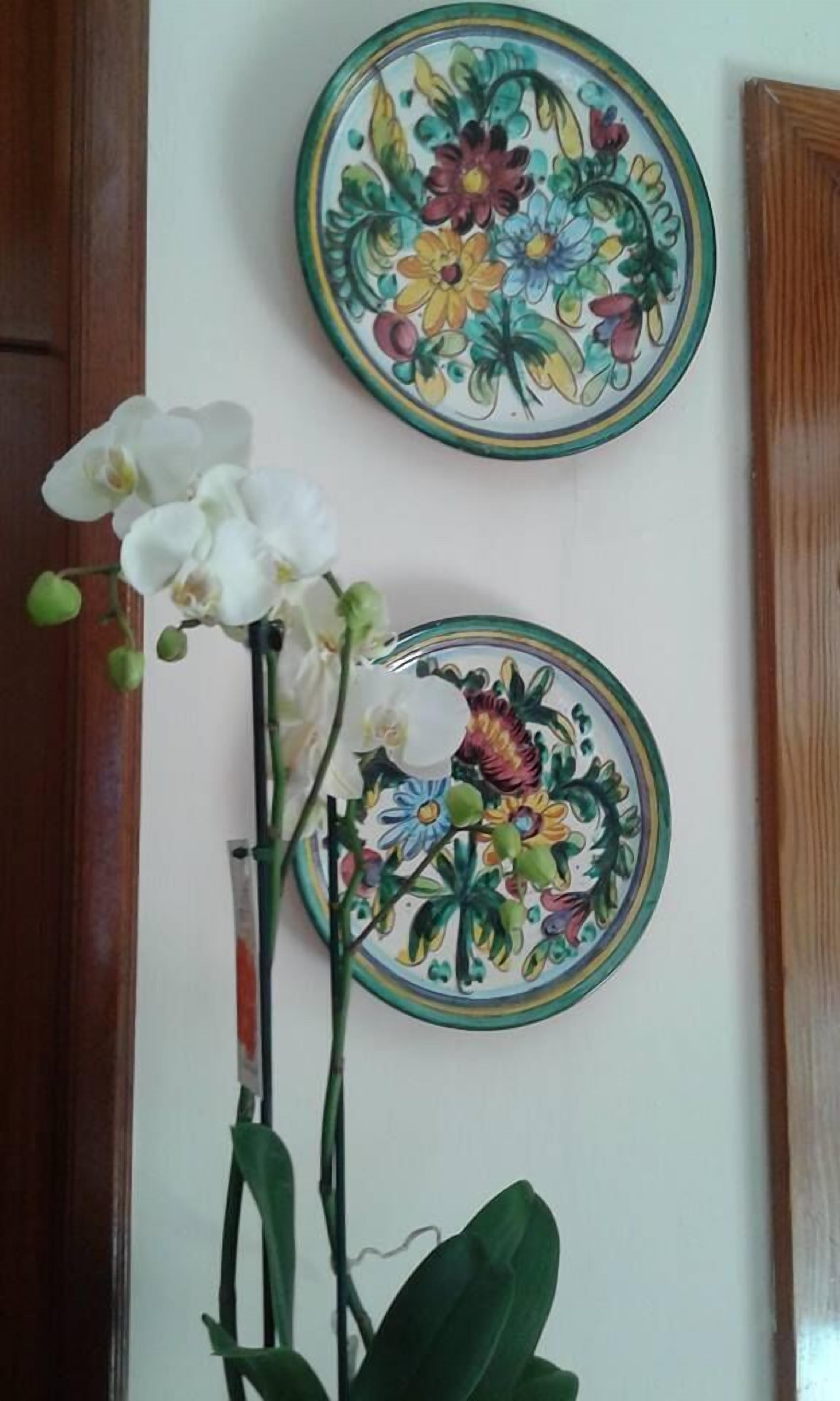 Deux assiettes décoratives ornées de motifs floraux sont accrochées au mur.