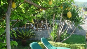 A garden with two white lounge chairs with green cushions, surrounded by lush greenery and a stone wall. - Hotel Monti (Casamicciola Terme)