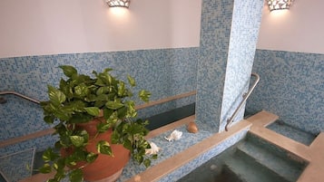 Piscine couverte, piscine extérieure (ouverte en saison)