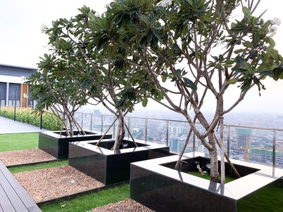 D Suites at the Skyline