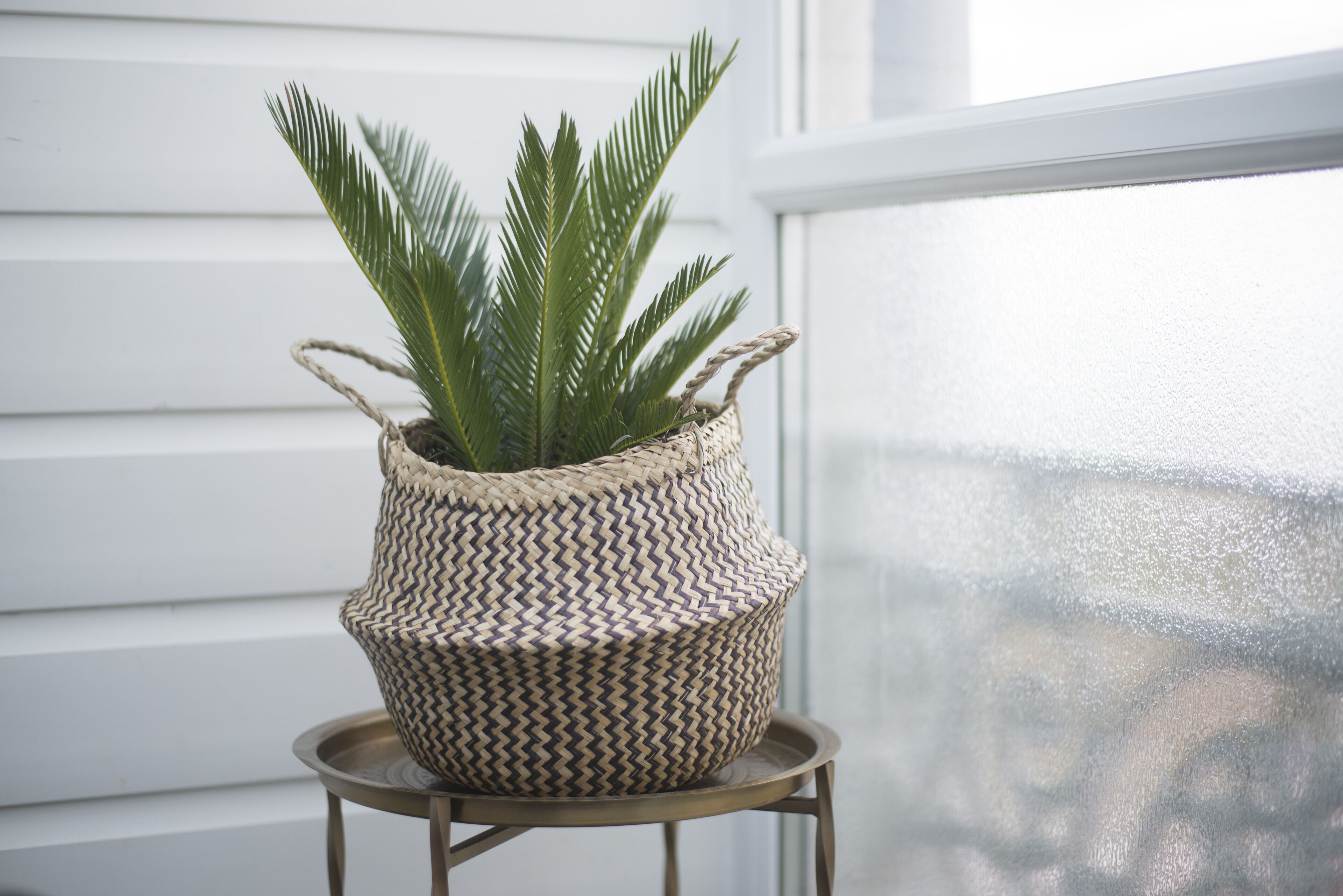 Un panier tressé contenant une plante, posé sur un support en métal.