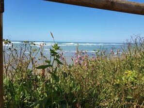 Tæt på stranden
