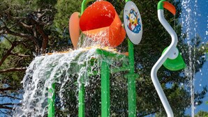 Een water speelzone met een groene constructie, een rode emmer en een witte flamingo figuur.