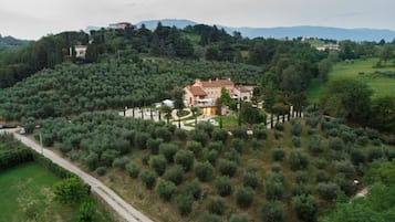 Une grande villa entourée d’oliveraies, accessible par un chemin sinueux.