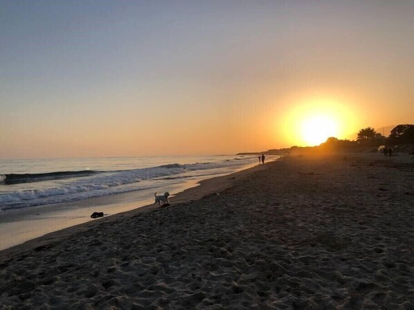 Sun loungers, beach towels