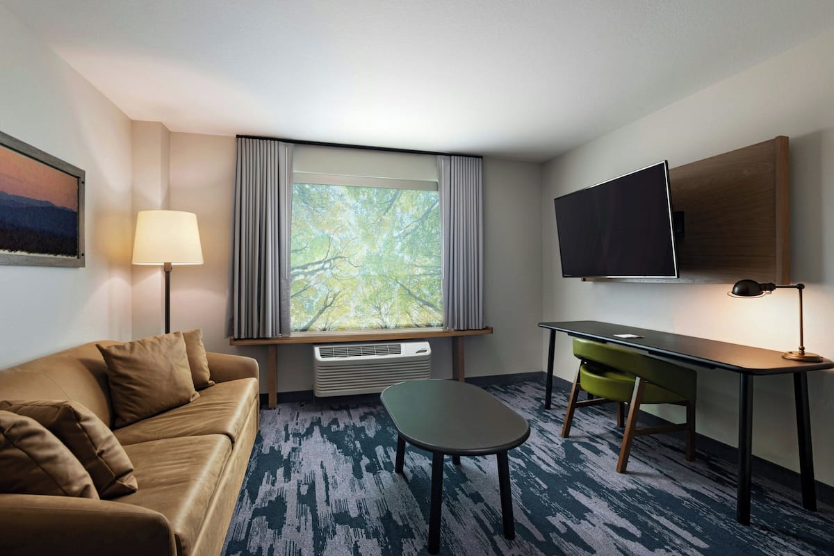 A hotel room with a sofa, a desk, a chair, a TV, a window with curtains, and a radiator.