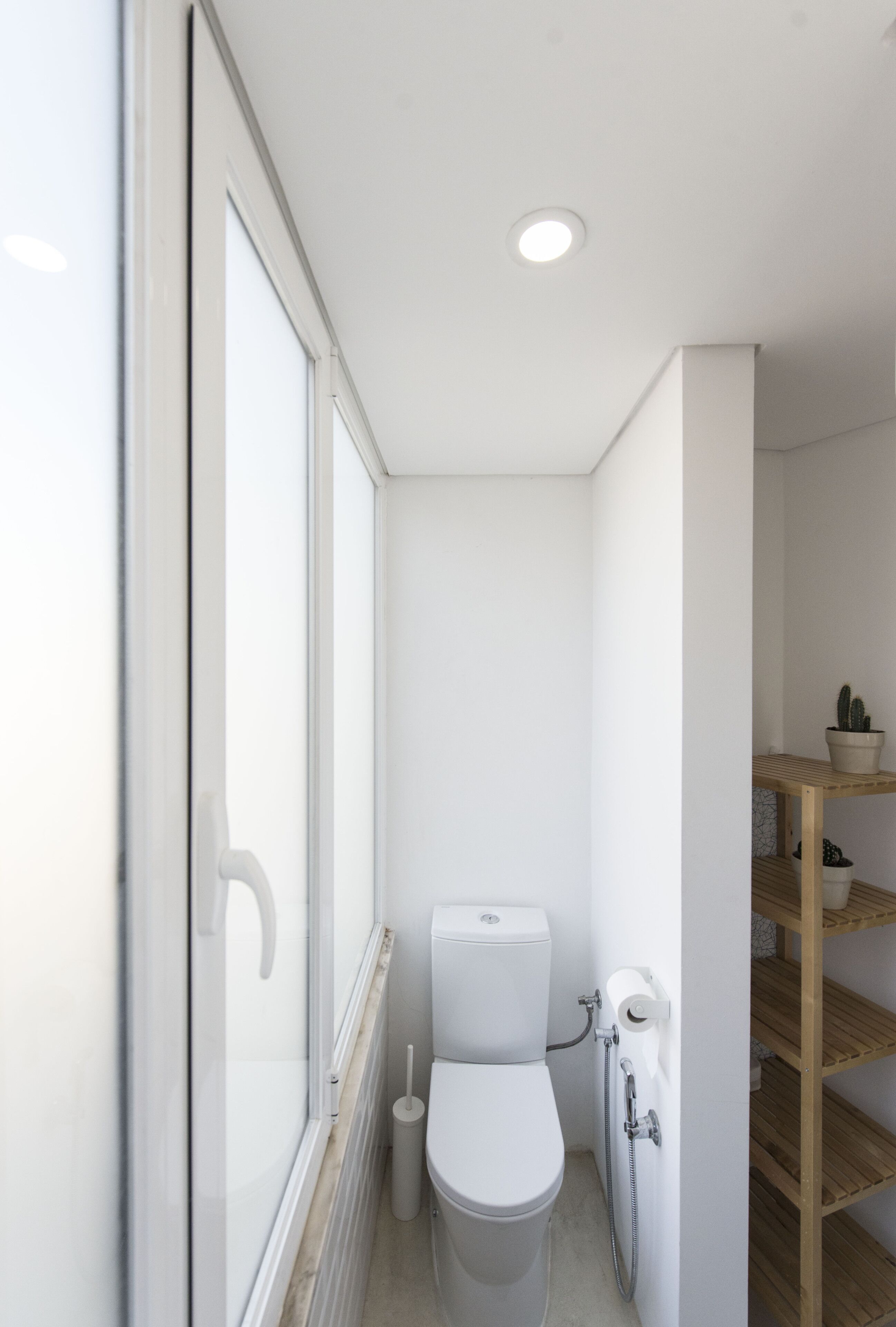 A small, white bathroom with a toilet, a shower, and a shelf with a cactus.