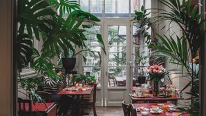 A sunlit dining area with a high ceiling, large windows, and abundant indoor plants. - Boulevard Leopold Rooms & Suites (Antwerp)