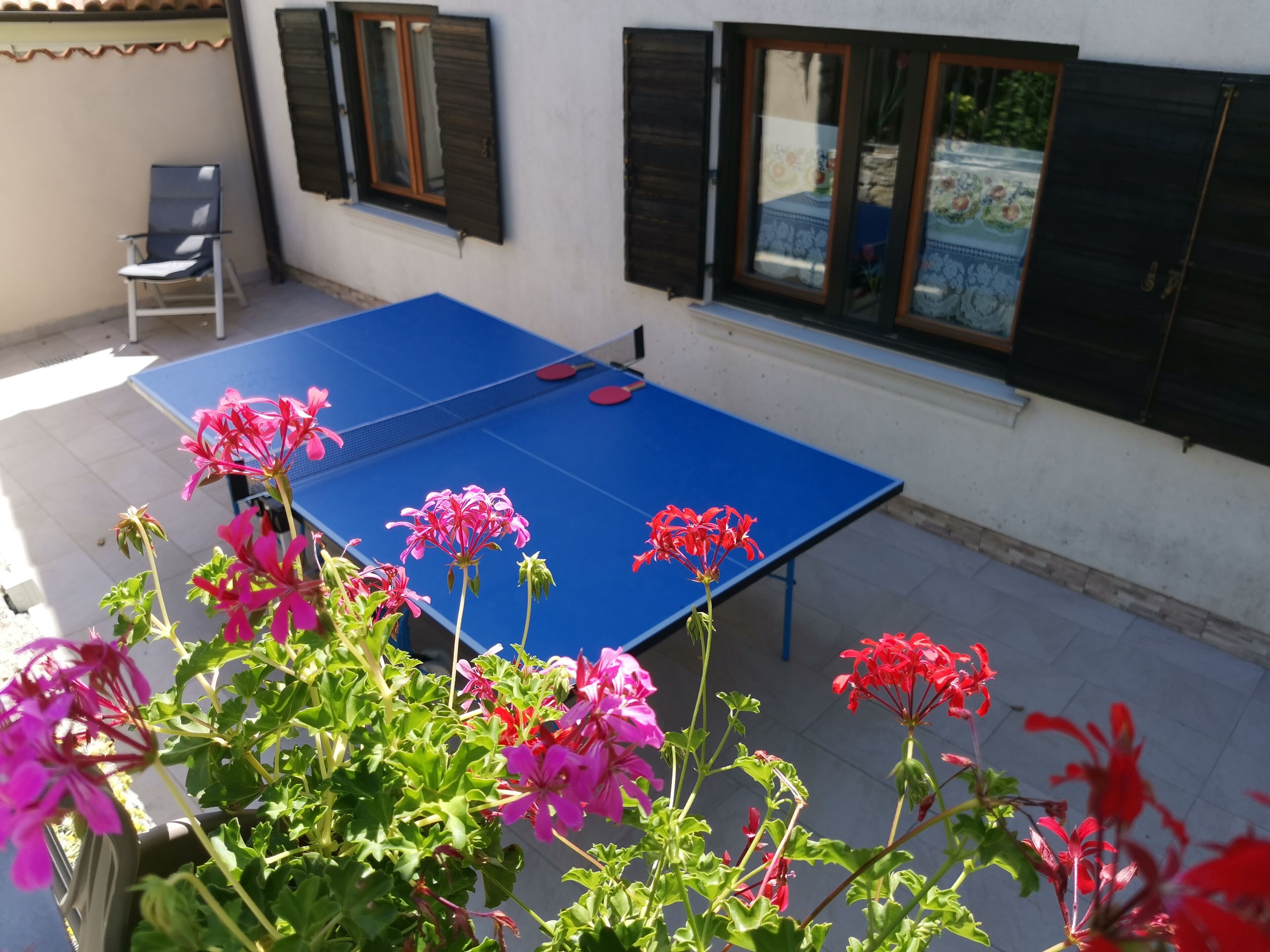 Uma mesa de pingue-pongue azul numa área externa com plantas em vasos e uma cadeira.