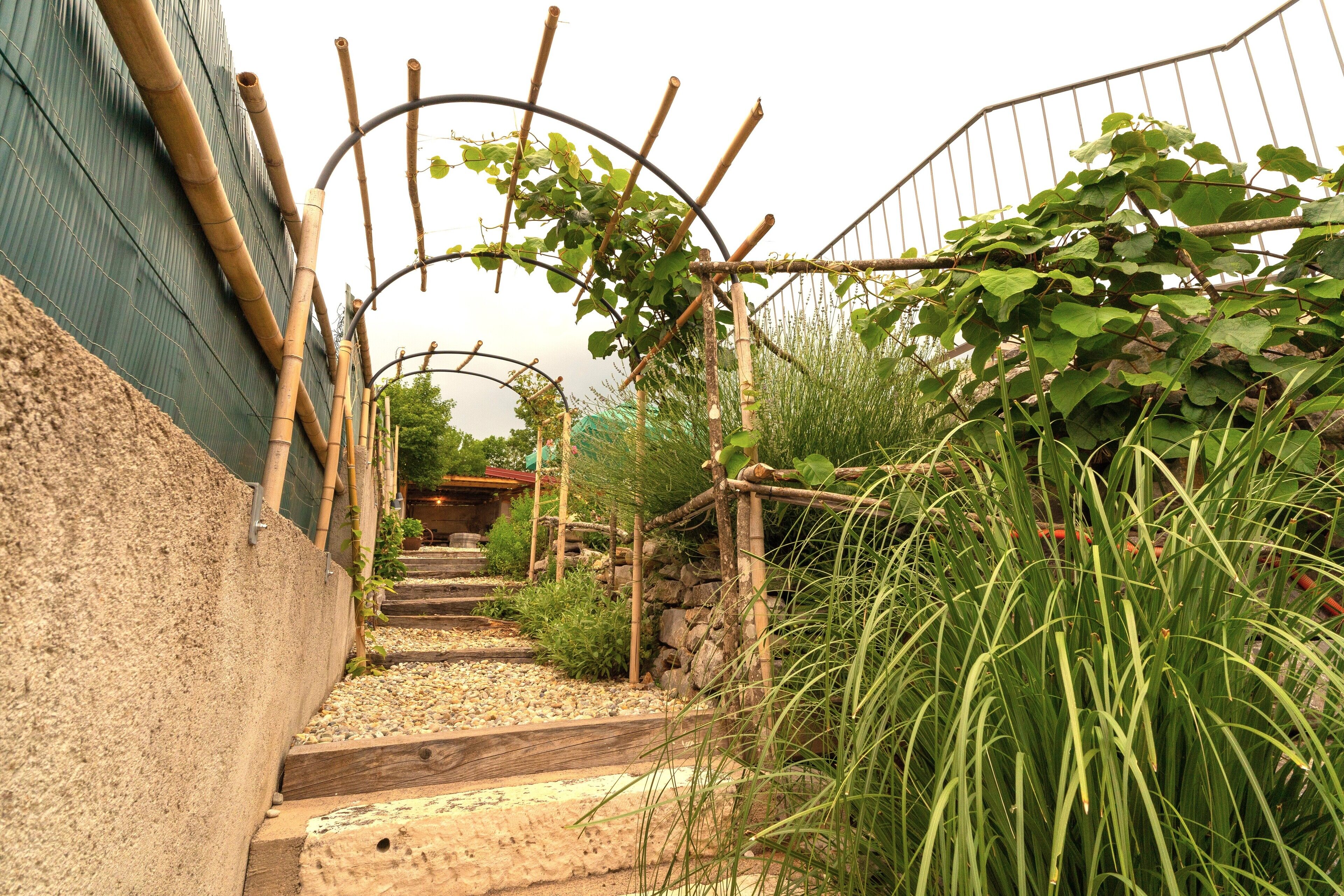 A garden pathway with a wooden staircase leading to a stone wall.