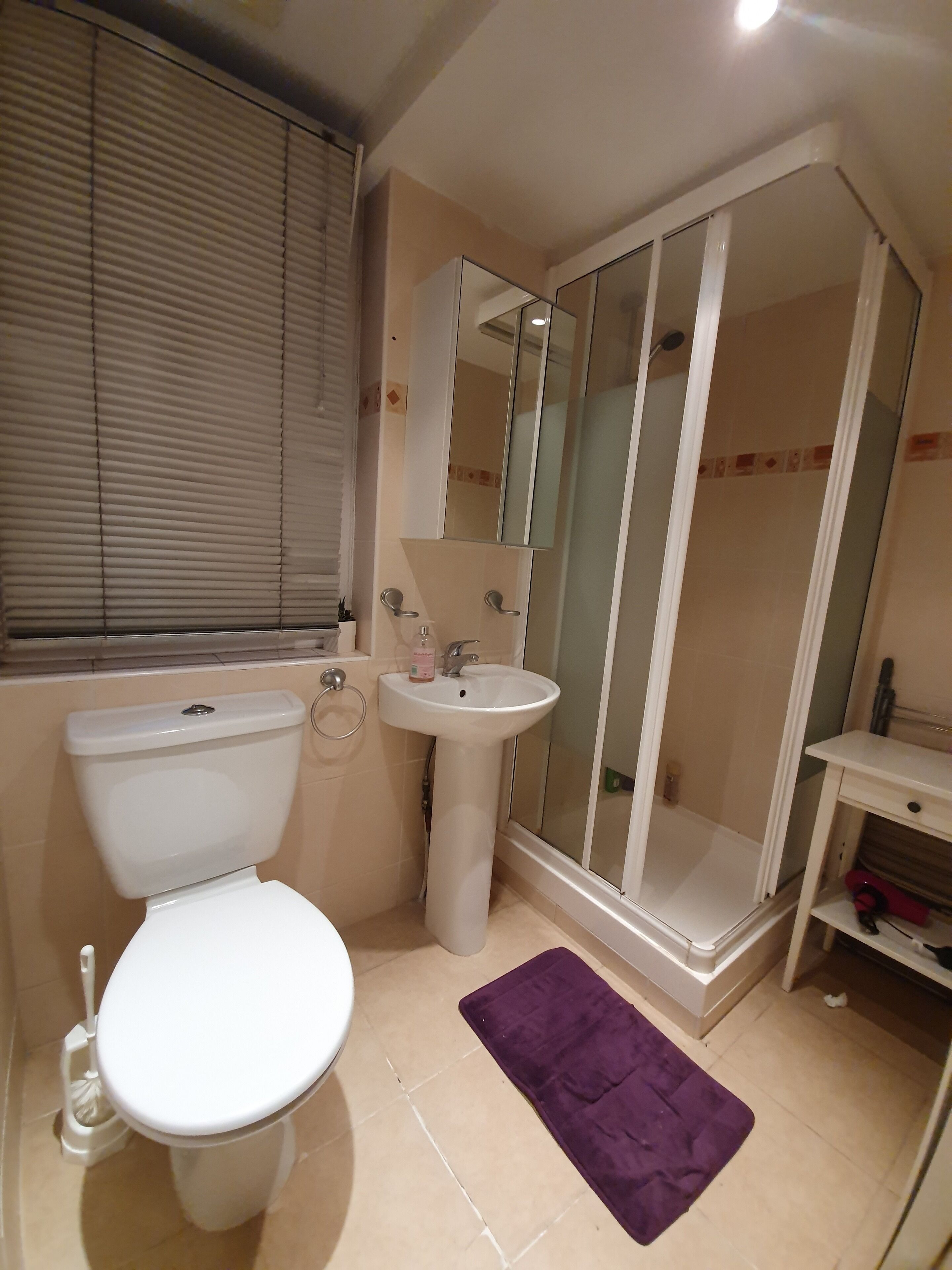 A bathroom with a toilet, sink, and glass-enclosed shower.