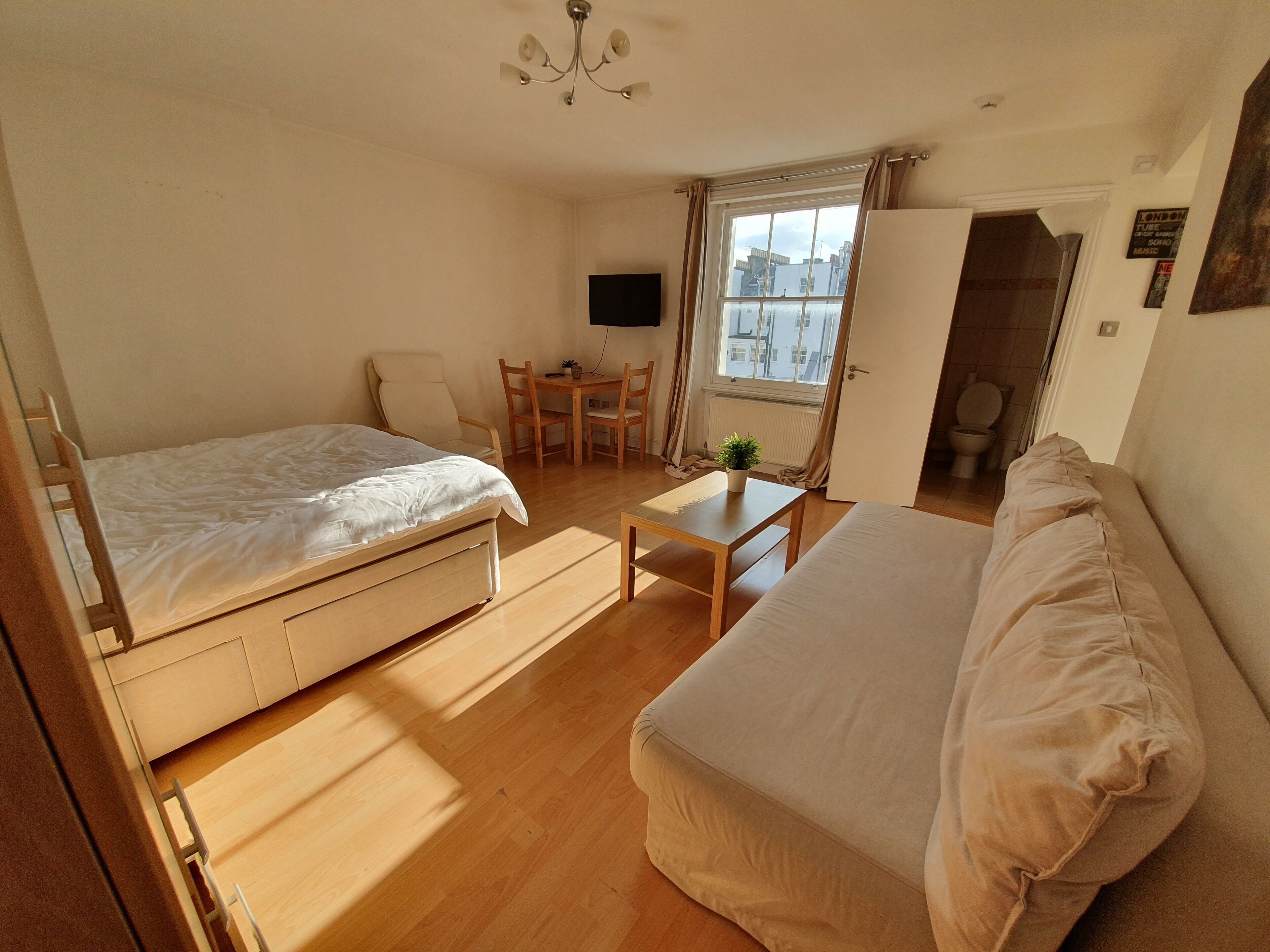 A room with a bed, a sofa, a small table with a plant, a TV, and a window with curtains.