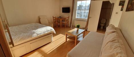 A room with a bed, a sofa, a small table with a plant, a TV, and a window with curtains.