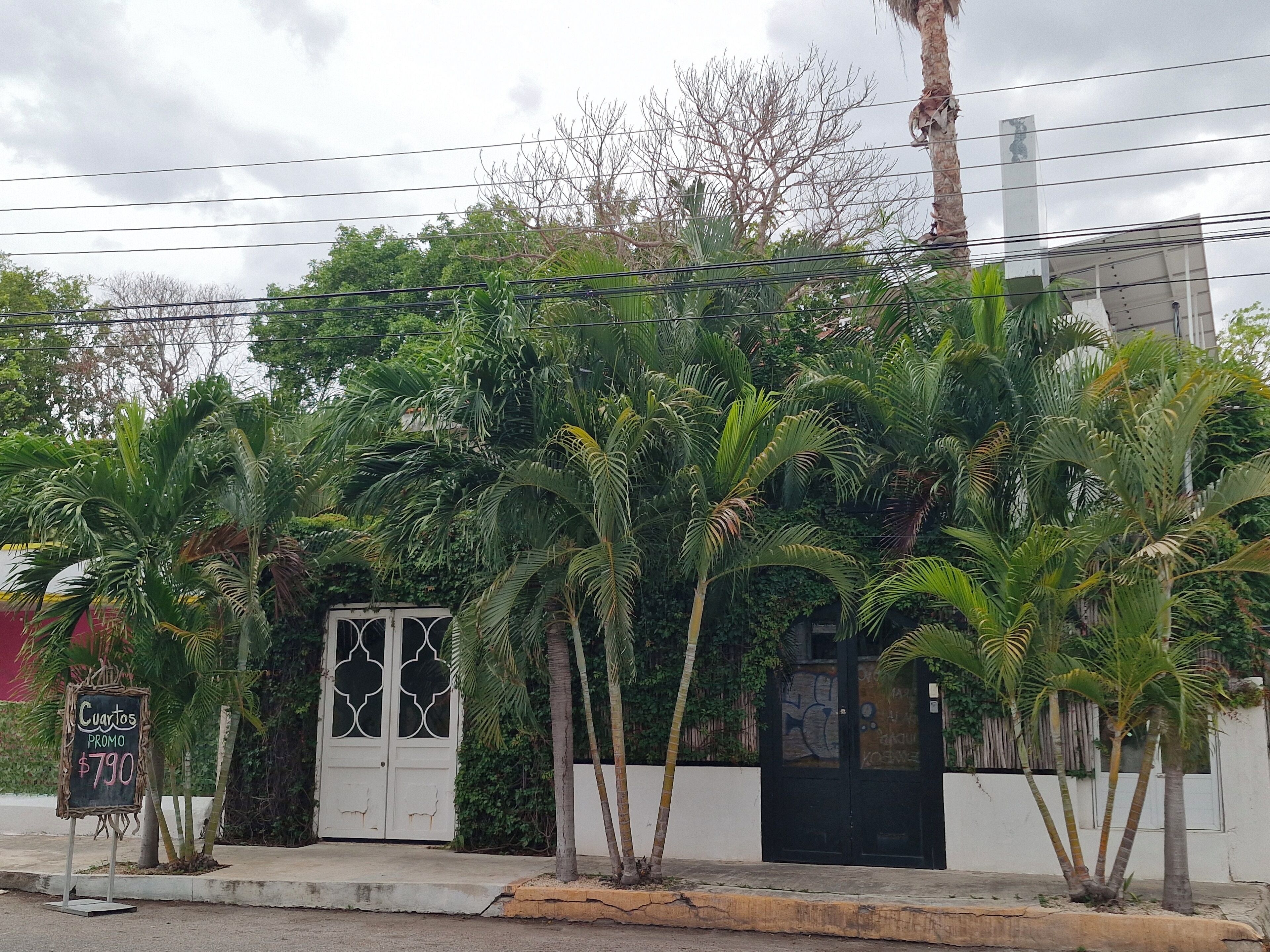 Foto - Hotel Downtown Merida