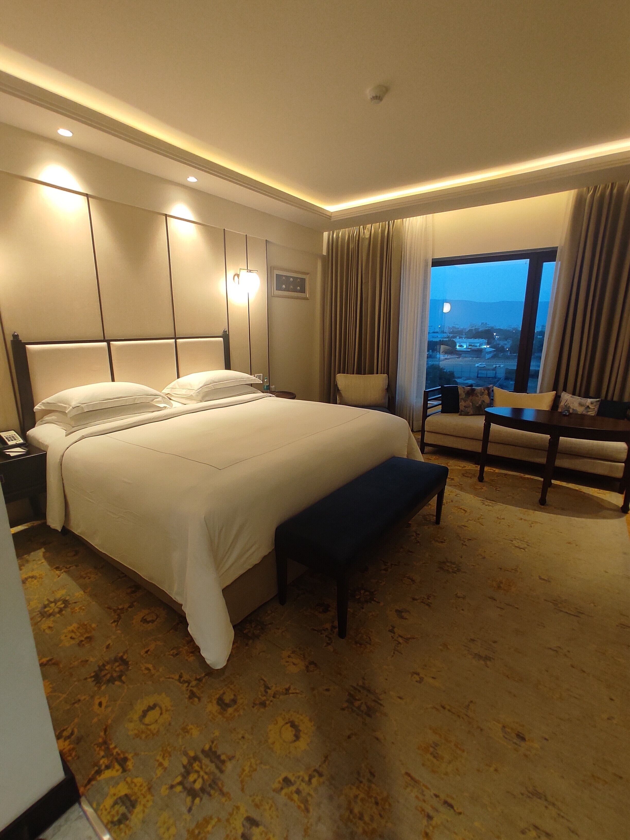 A hotel room with a large bed, bedside table, and a view of the city through a window.