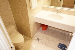 Séchoir à cheveux, savon, shampooing, papier de toilette