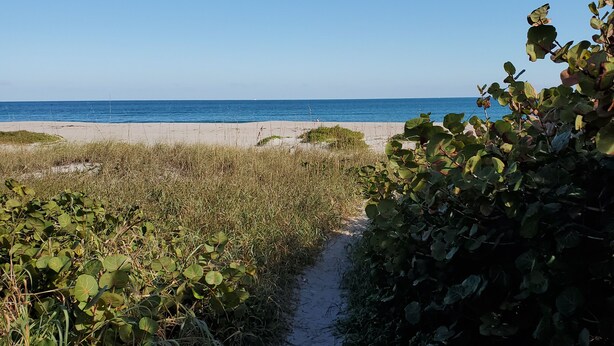 A sandy path leading to a beach with a clear blue sky.