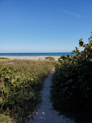 Un sentier sablonneux qui mène à une plage, avec un ciel bleu dégagé.