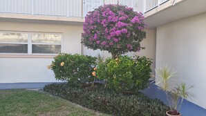 A well-maintained garden with a variety of shrubs and a tree with purple flowers, located in front of a building with a white balcony.