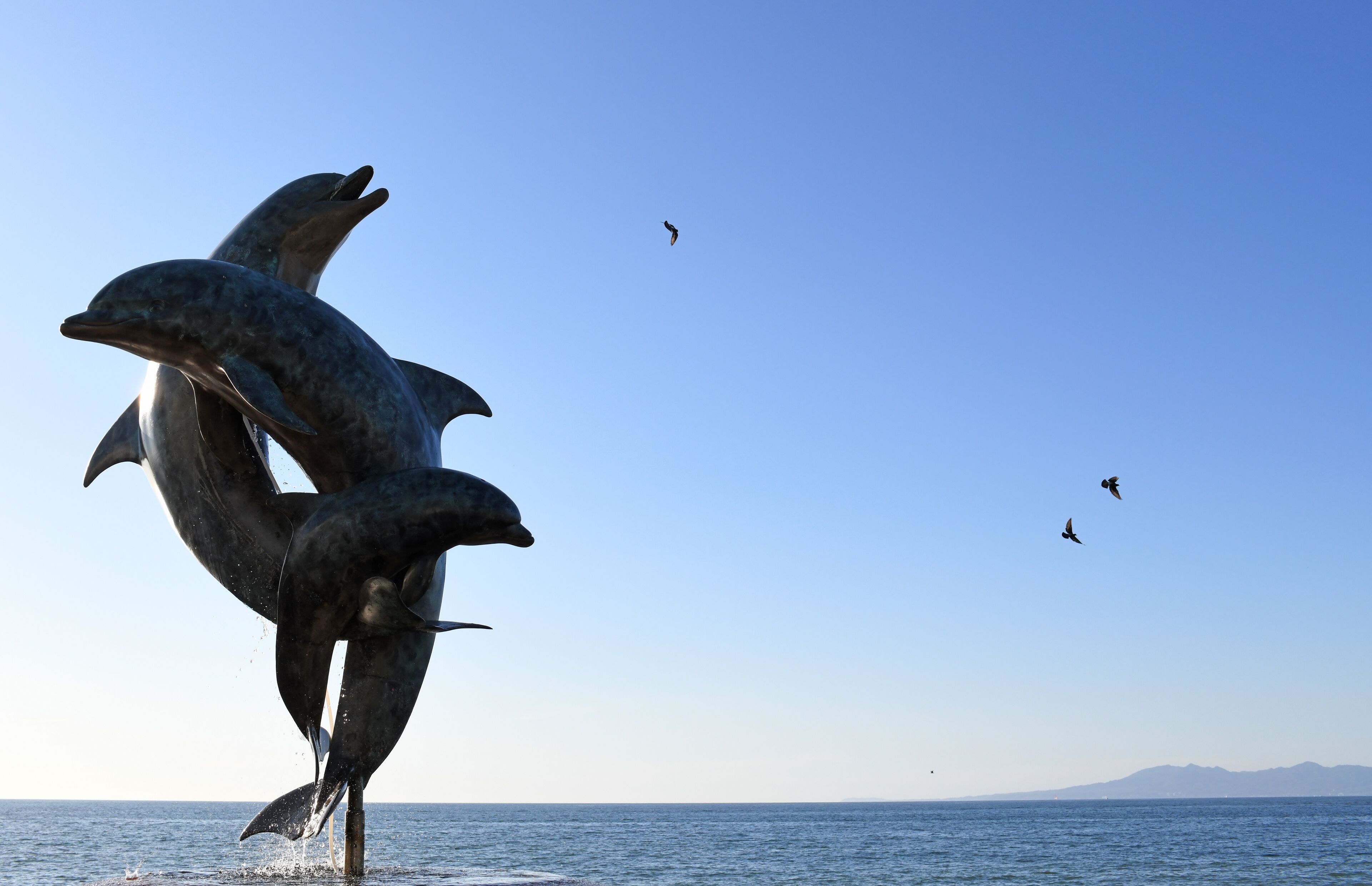 Photo - Petit Hotel Pilitas