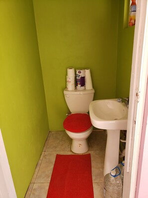 Combined shower/tub, hair dryer, towels, soap