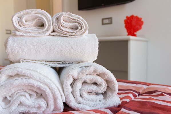 Ducha, secador de pelo, bidet, toallas