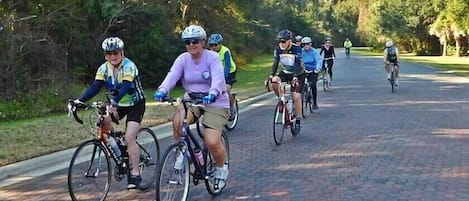A group of cyclists on a paved road surrounded by greenery.