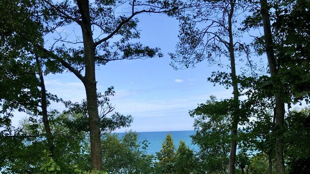En træpromenade der fører gennem et skovområde med udsigt til havet.