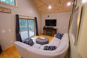 Smart TV, fireplace, books, music library